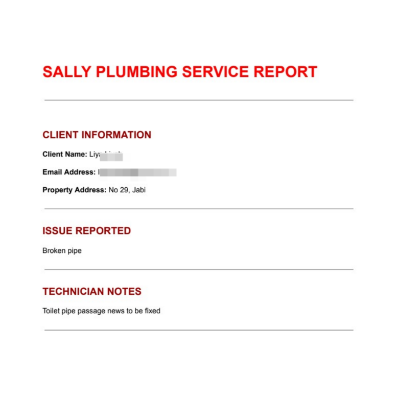 Generated PDF Report